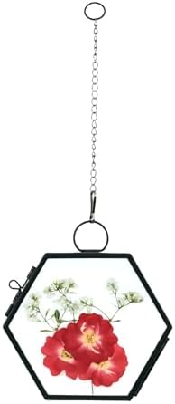 Mini Glass Floating Frame for Dried Flowers Wall Hanging