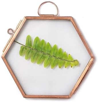 NCYP Rose Gold Copper Hexagon Herbarium Frame