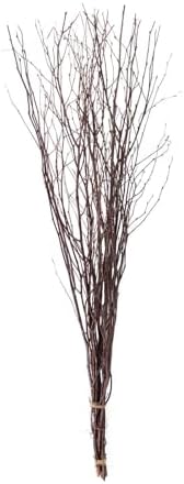 Efavormart 6 Pack Natural Birch Tree Branches Vase Fillers