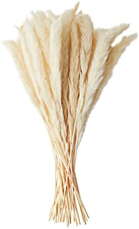 Farmlyn Creek Ivory Pampas Grass Vase Set