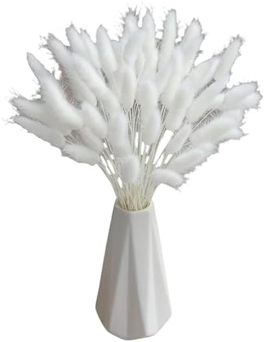 120 Sticks Dried Bunny Tail Flowers for Decor