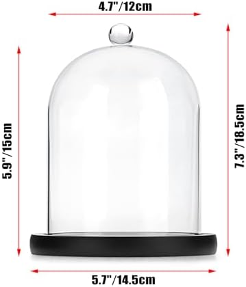 JUXYES Clear Glass Cloche with Wood Base