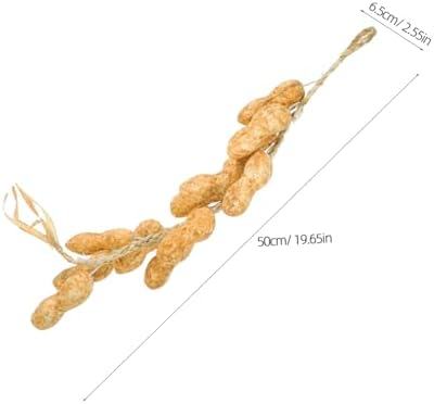 GLEAVI 5Pcs Realistic Hanging Peanut Decor String Props
