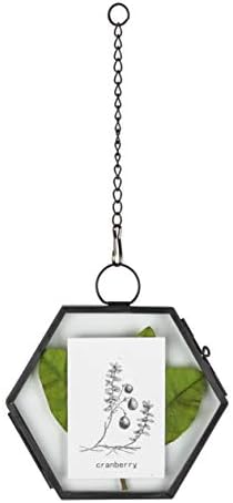 NCYP Mini Hanging Hexagon Glass Frame for Dried Flowers and Photos