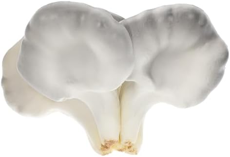 Garneck Miniature Oyster Mushroom Decor for Home Office Party