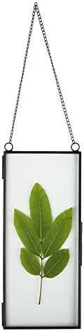 NCYP Small Double Glass Floating Frame - 41 x 9 Wall Hanging Art Display
