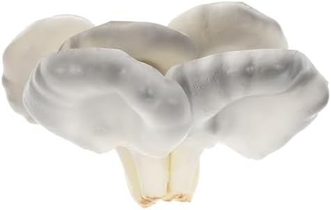 Realistic Fake Straw Mushroom Decor Wall Art