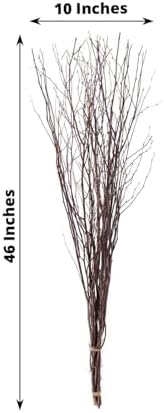 Efavormart 6 Pack Natural Birch Tree Branches Vase Fillers