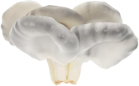 Realistic Artificial Oyster Mushrooms Photo Prop