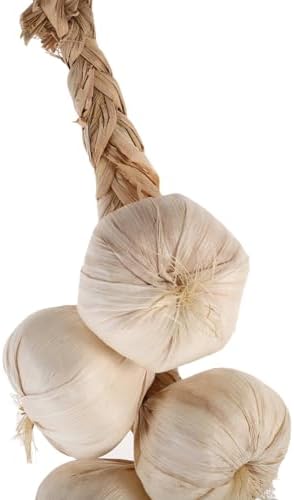 Cabilock Simulation Garlic Halloween Artificial Hanging Vegetable Prop String