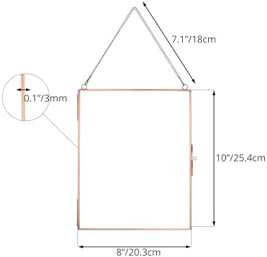 NCYP 8x10 Inch Rose Gold Wall Frame for Photos and Plants