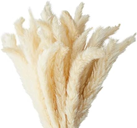 Farmlyn Creek Ivory Pampas Grass Vase Set
