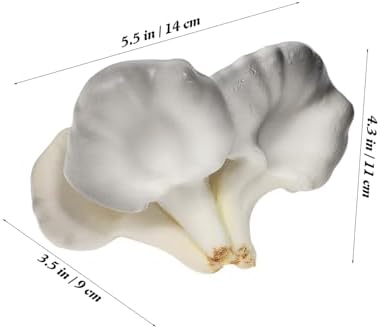 Realistic Artificial Oyster Mushrooms Photo Prop