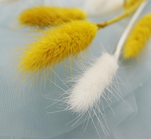 JOJAZE Dried Bunny Tails Flowers 120pcs for Home Decor