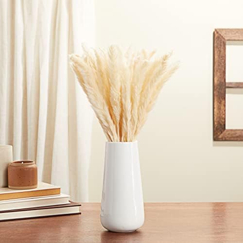 Farmlyn Creek Ivory Pampas Grass Vase Set
