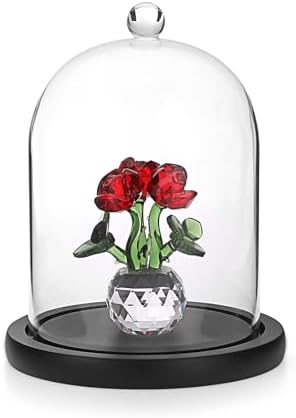 JUXYES Clear Glass Cloche with Wood Base