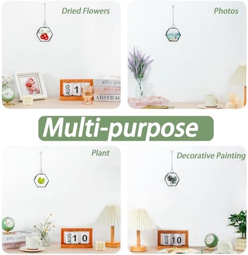 Mini Glass Floating Frame for Dried Flowers Wall Hanging
