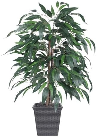 Vickerman 4 Foot Artificial Mango Bush with Basket