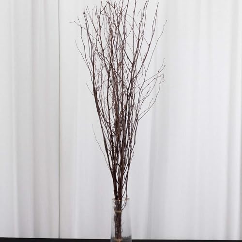 Efavormart 6 Pack Natural Birch Tree Branches Vase Fillers