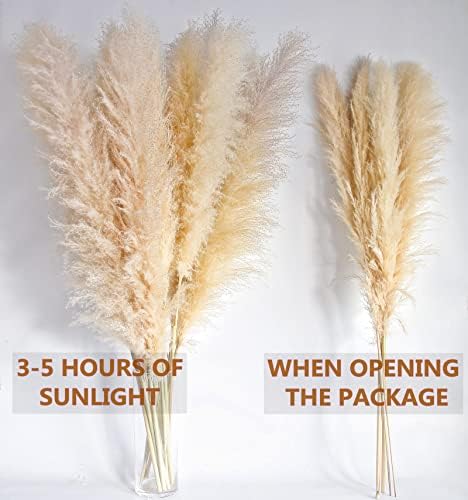 46 Inch Ivory Pampas Grass Decor Set of 10