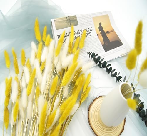 JOJAZE Dried Bunny Tails Flowers 120pcs for Home Decor