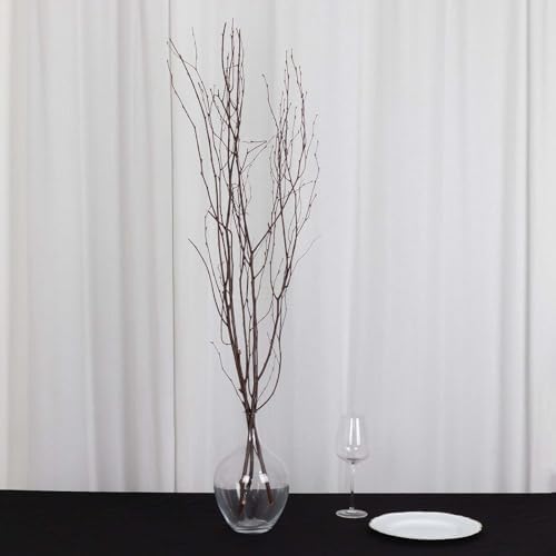 Efavormart 6 Pack Natural Birch Tree Branches Vase Fillers