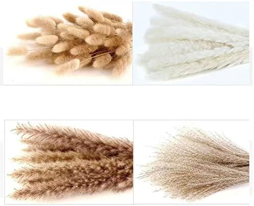 Eforcase Dried Flower Bouquet Set - Tan White Pampas Grass and Reed