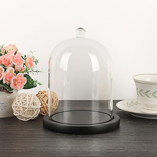 JUXYES Clear Glass Cloche with Wood Base
