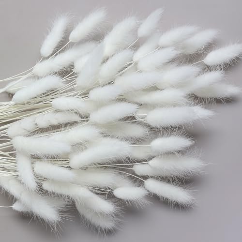 120 Sticks Dried Bunny Tail Flowers for Decor