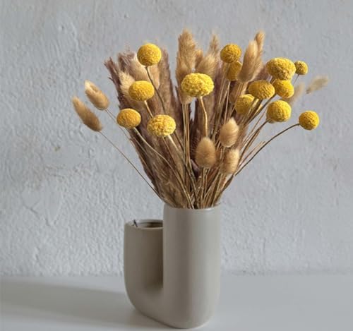 55pcs Natural Dried Flowers Bouquet for Home Wedding Centerpieces