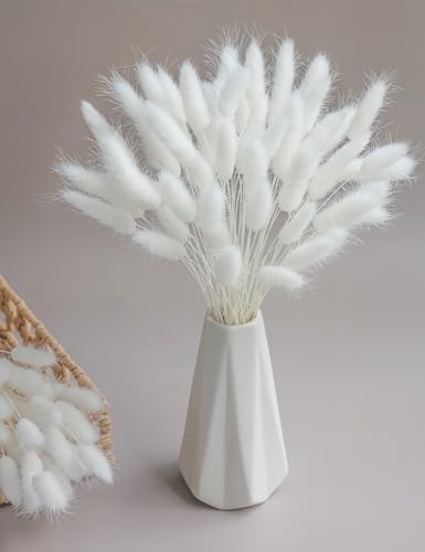 120 Sticks Dried Bunny Tail Flowers for Decor