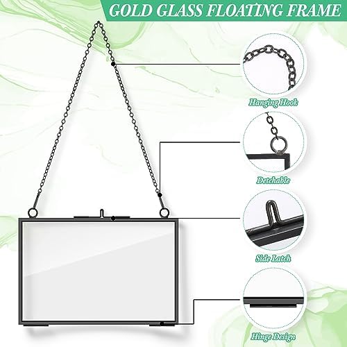 Geetery 9 Pcs Black Hanging Glass Frame for Dried Flowers