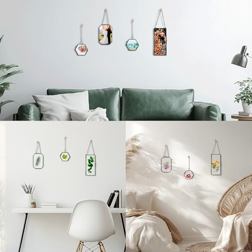 Mini Glass Floating Frame for Dried Flowers Wall Hanging