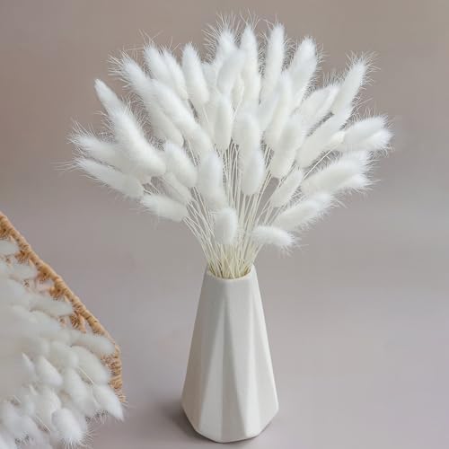 120 Sticks Dried Bunny Tail Flowers for Decor