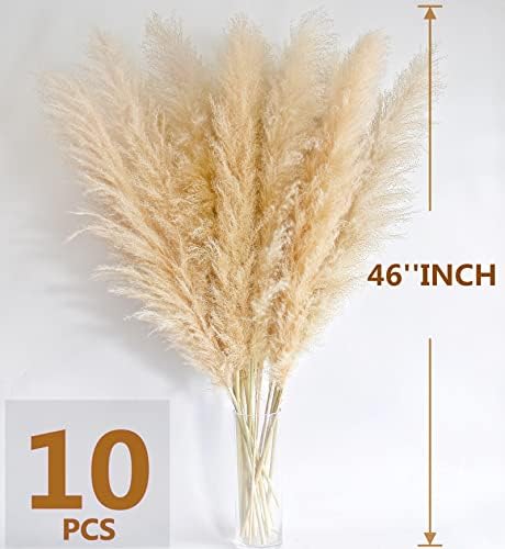 46 Inch Ivory Pampas Grass Decor Set of 10