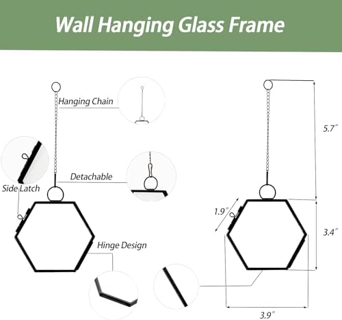 Mini Glass Floating Frame for Dried Flowers Wall Hanging