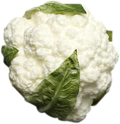 Cabilock Artificial Broccoli Display Prop for Showcase