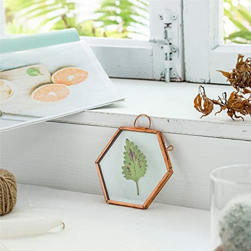 NCYP Rose Gold Copper Hexagon Herbarium Frame