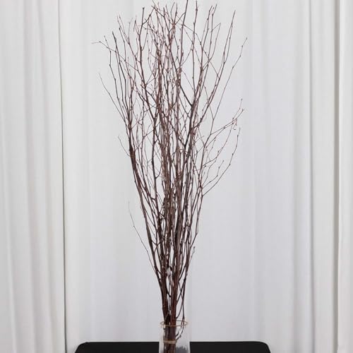 Efavormart 6 Pack Natural Birch Tree Branches Vase Fillers