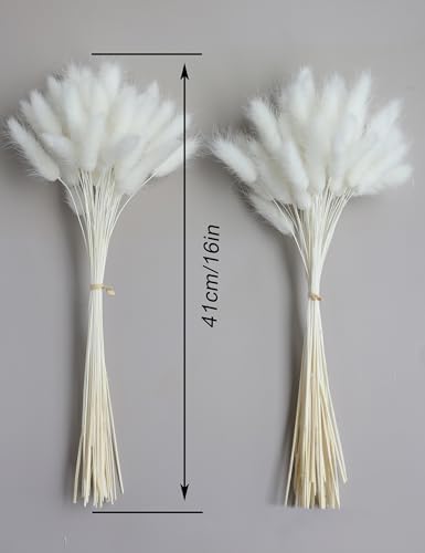 120 Sticks Dried Bunny Tail Flowers for Decor