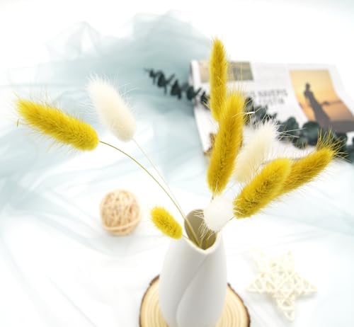 JOJAZE Dried Bunny Tails Flowers 120pcs for Home Decor