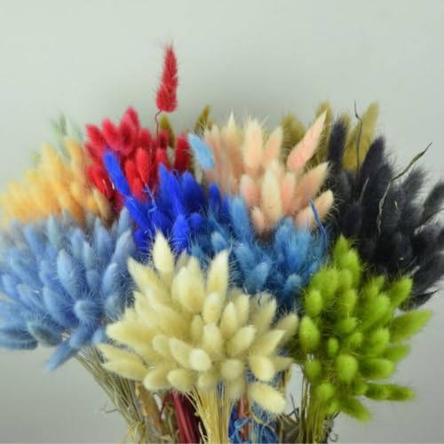 Hotfiary 150 Pcs Dried Pampas Grass Decor