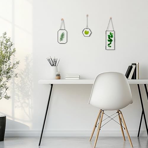 Mini Glass Floating Frame for Dried Flowers Wall Hanging