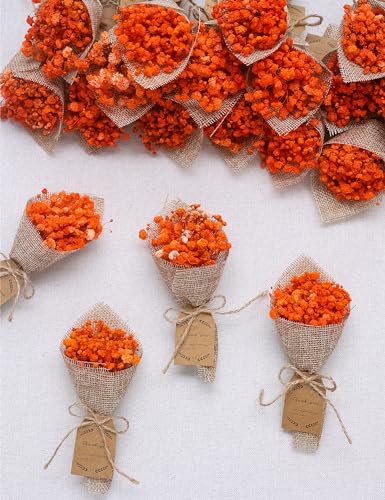20-Piece Mini Magnet Dried Flower Bouquet Set Orange