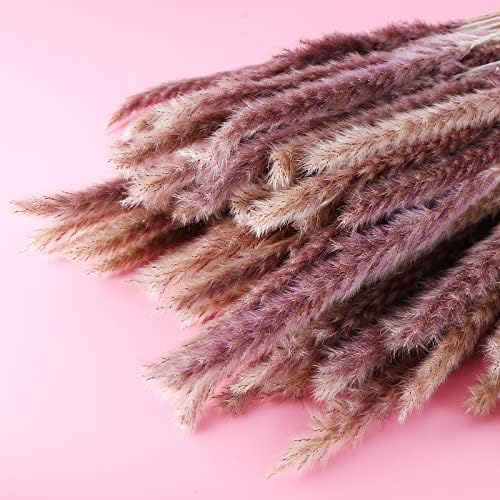Eforcase 75PCS Dried Pampas Grass Boho Decor