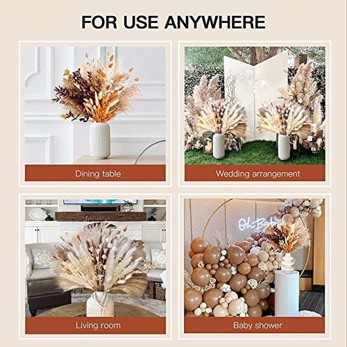 Ochine Natural Dried Lagurus Ovatus for Home Decor