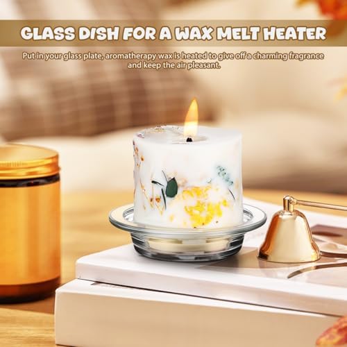 Homoyoyo 2PCS Wax Warmer Replacement Dish Glass