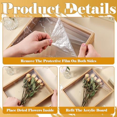 2 Pack Floating Picture Frame for Dried Flowers and Plants