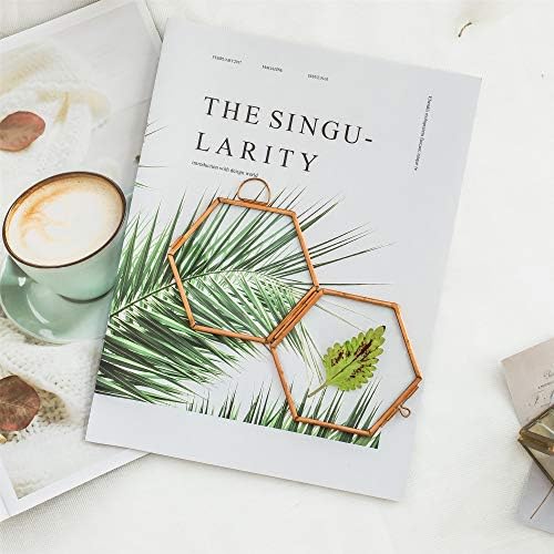 NCYP Rose Gold Copper Hexagon Herbarium Frame