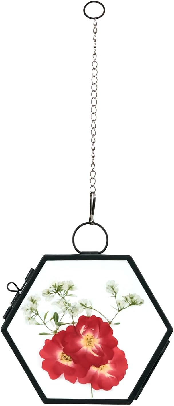 Mini Glass Floating Frame for Dried Flowers Wall Hanging